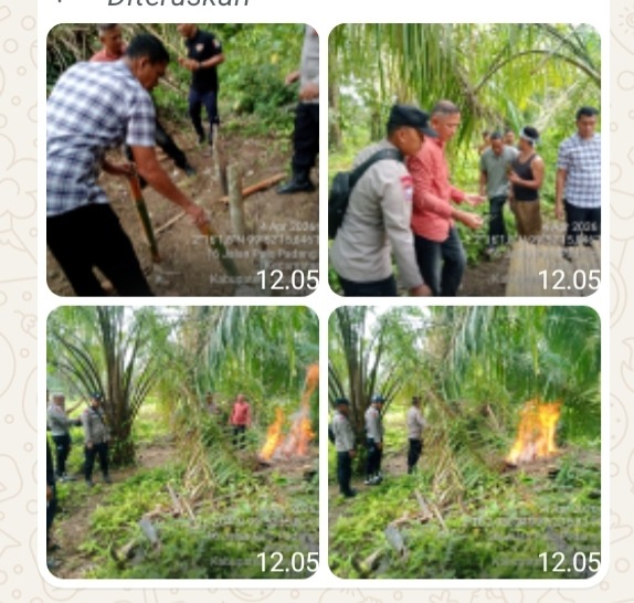 IMG-20260404-WA0057