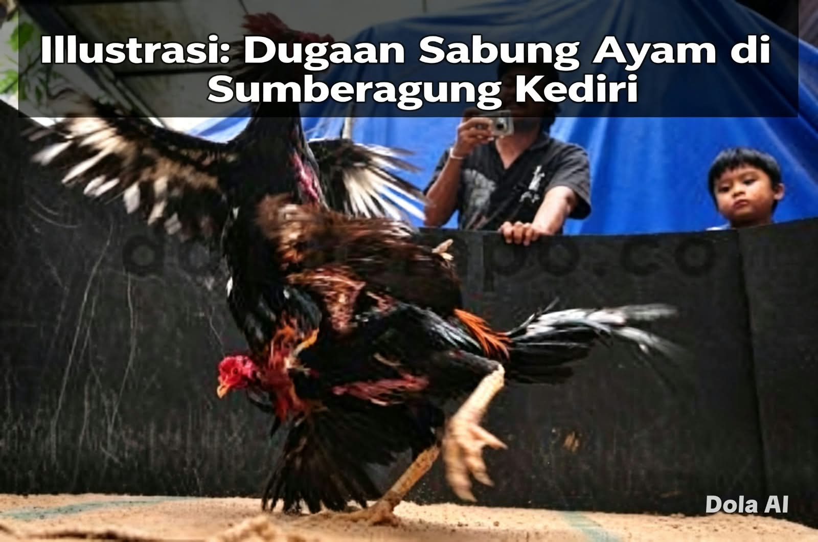 IMG-20260827-WA0011