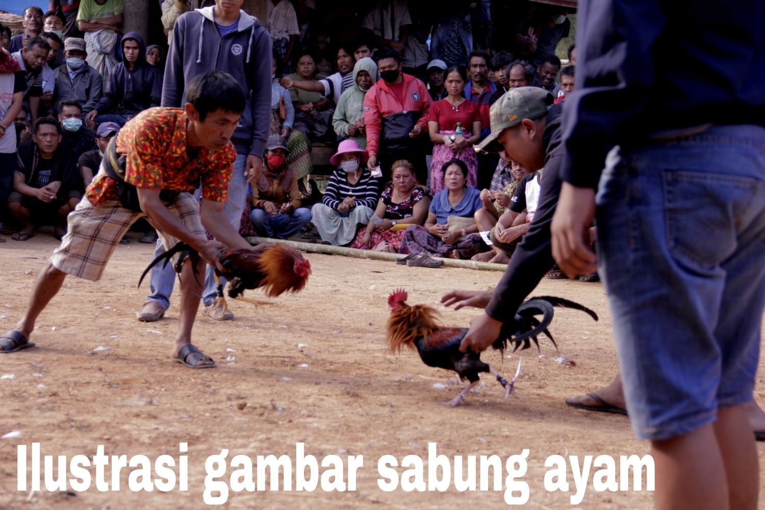 IMG-20260922-WA0054